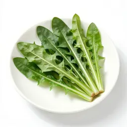 Dandelion green