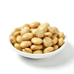 Fava bean