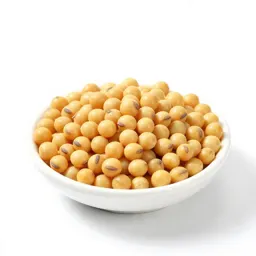 Field soybean