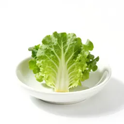 Garden cress