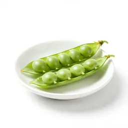 Garden pea
