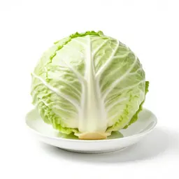 Head cabbage