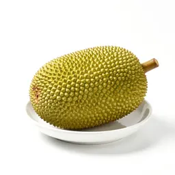 Jackfruit