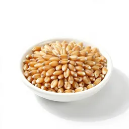 Kernel