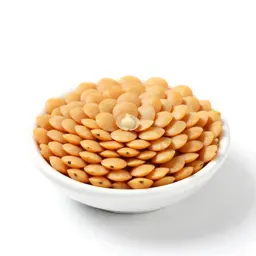 Lentil