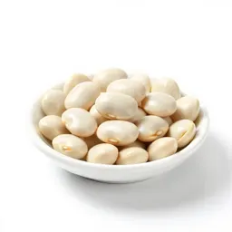 Navy bean