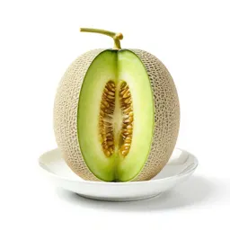 Net melon