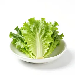 Salad green