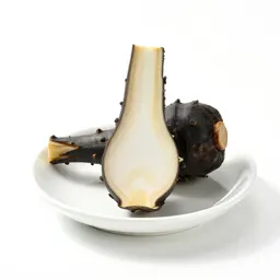 Scorzonera