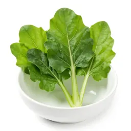 Sorrel