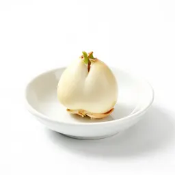 Sprout