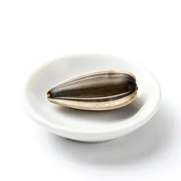 Sunflower seed