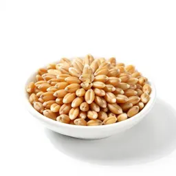 Wheat berry
