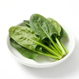 Wild spinach