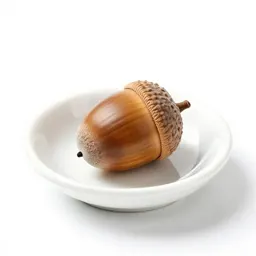 Acorn