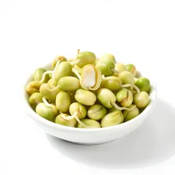Alfalfa sprout