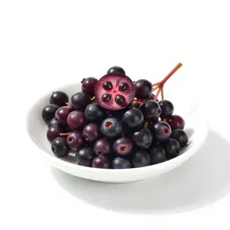 Elderberry