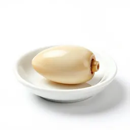 Ivory nut