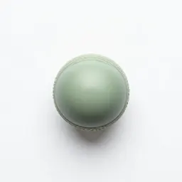 Cricket ball