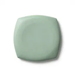 Discus