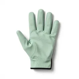 Golf glove