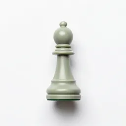 Pawn
