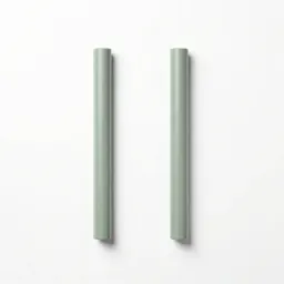 Uneven parallel bars