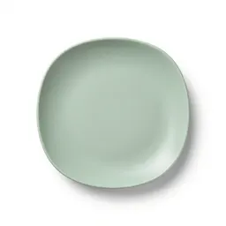 Dinner plate