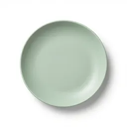 Soup plate