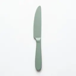 Steak knife