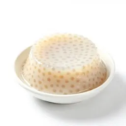 Tapioca pudding