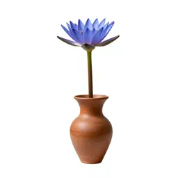 Blue lotus
