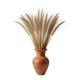 Bulrush