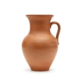 Ceratozamia