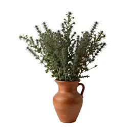 Crucifer