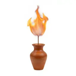 Flame flower