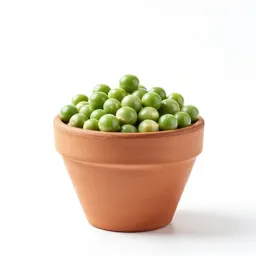 Hairy darling pea