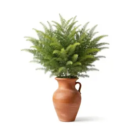Honey mesquite
