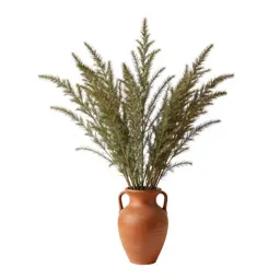 Jointed rush