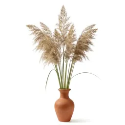 Slender rush