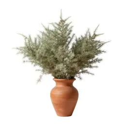Tumbleweed