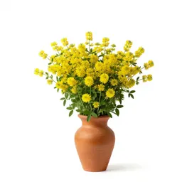 Yellow sweet clover