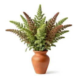 Amaranth