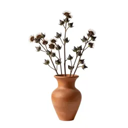 Angiosperm