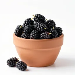 Black mulberry