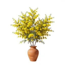 Bush willow