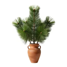 Celery pine