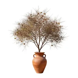 Gliricidia