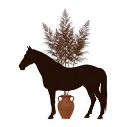 Horse cassia