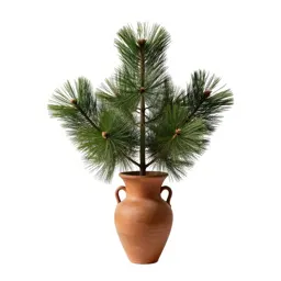 Huon pine